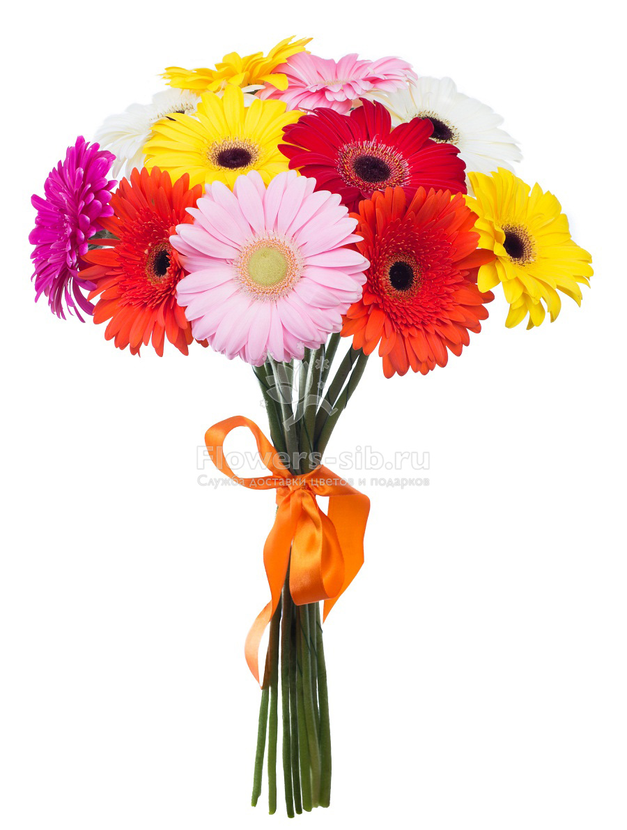 Букет из 11 гербер в Чебоксарах по цене 4390 руб. - доставка цветов от службы Flowers-sib.ru